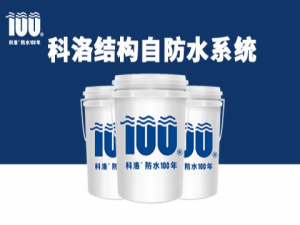 混凝土結(jié)構(gòu)自防水技術規(guī)范